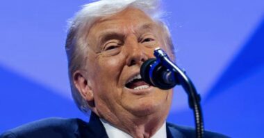 “Negociatat për blerjen e Gorenlandës”/ Presidenti i SHBA: Nuk dua dhe nuk do të përdor forcën