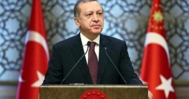 Erdogan: Turqia do të jetë një nga qendrat e reja të fuqisë globale