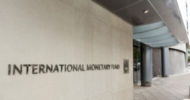 FMN: Rritja e tarifave rrezik i madh për ekonominë globale