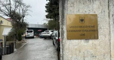 “Shtëpia e barit” në Lezhë/ Mbërrijnë para gjykatës babë e bir dhe punonjësi i OSHEE