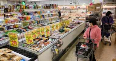 Japonia drejt zgjedhjeve të parakohshme, kryeministrja premton pezullimin e taksës për ushqimet