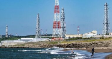 Japonia rifillon punën e centralit bërthamor më të madh në botë