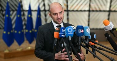 Ministri i Jashtëm francez: BE ka përgjegjësi strategjike për Groenlandën