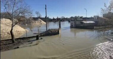 Lumi Seman çan argjinaturën/ 20 banesa të përmbytura, qindra hektarë tokë bujqësore nën ujë