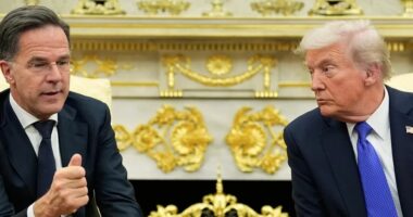 Rutte: Trump ka të drejtë, duhet të mbrojmë Arktikun nga Rusia dhe Kina