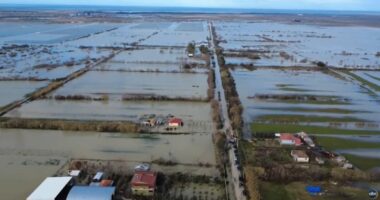 Semani tërhiqet në shtat/ Fier, banorët presin bazë ushqimore për bagëtitë