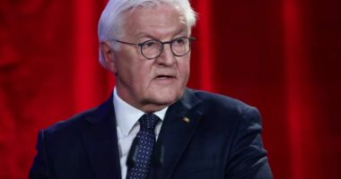 Presidenti i Gjermanisë: SHBA-të po shkatërrojnë rendin botëror