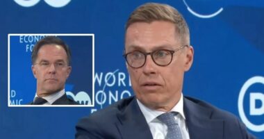 Presidenti i Finlandës: Lufta në Ukrainë, një dështim i plotë strategjik për Putinin