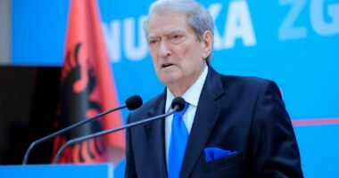 Berisha lavdëron dhunën e militantëve/ Kreu i PD reagon pas protestës së djeshme