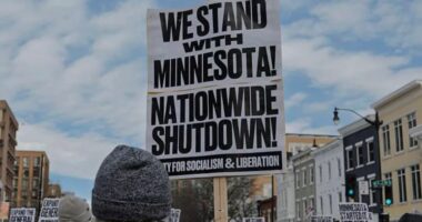 Senati amerikan bllokon projektligjin për financimin e qeverisë