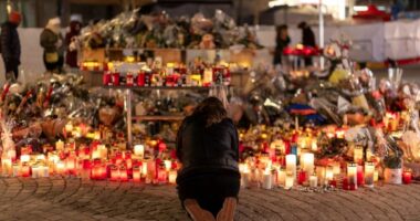 Zyrtarët zviceranë pranojnë se nuk u kryen inspektime në barin që u përfshi nga zjarri