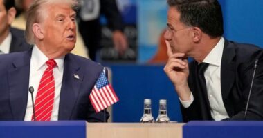 Trump për trupat evropiane të NATO-s: Ato ‘qëndruan larg vijave të frontit’ në Afganistan