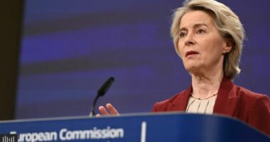 Ursula von der Leyen i mbijeton mocionit të mosbesimit në Parlamentin Europian