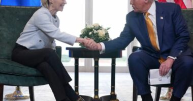 Parlamenti Evropian pezullon punën për zbatimin e marrëveshjes tregtare BE–SHBA