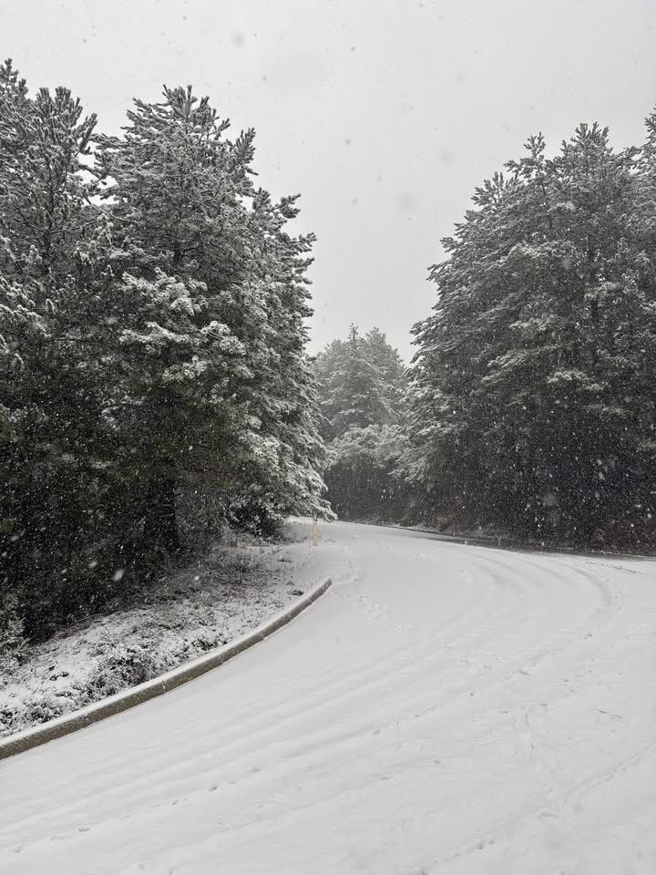 Reshjet e dëborës zbardhin Llogaranë  Bllokohet qarkullimi në Qafën e Llogarasë