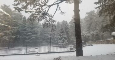 Reshje dëbore në Llogara, autoritetet apel drejtuesve: Lëvizni me kujdes dhe pajisuni me goma dimërore