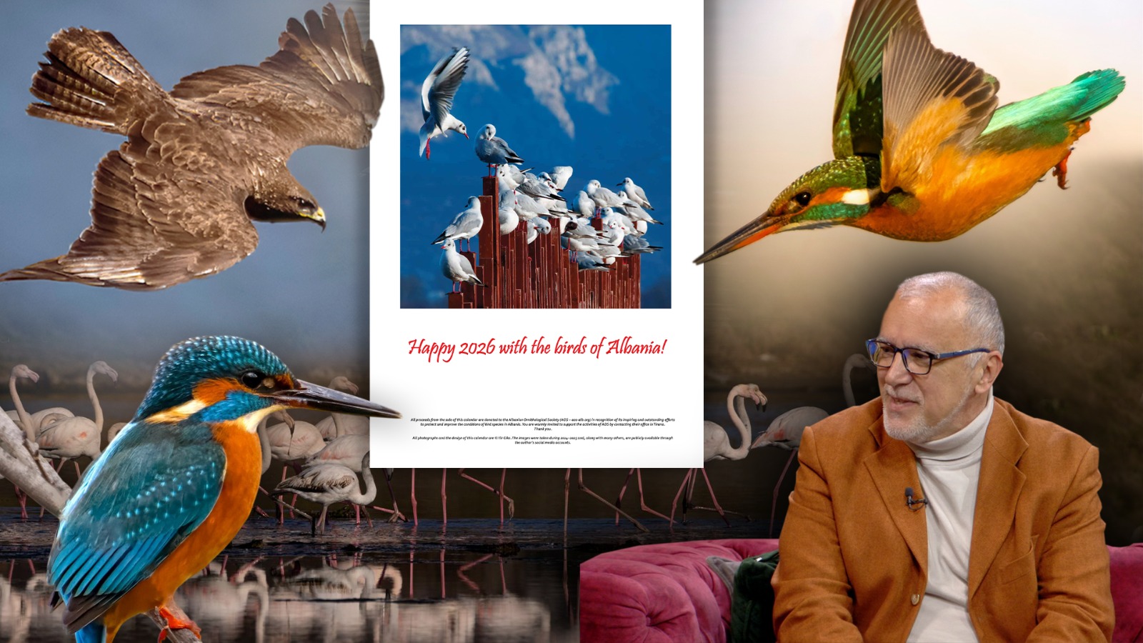 Gëzuar 2026 ën me zogjtë e Shqipërisë  kalendari që lidh artin me natyrën