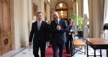 Diplomacia parlamentare/ Peleshi në Romë, për integrimin