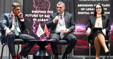 Monedha digjitale/ Sejko në Vjenë: BSH po ndjek qasje të kujdesshme