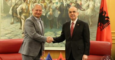 Presidenti Begaj pret raportuesin për Shqipërinë në Parlamentin Evropian