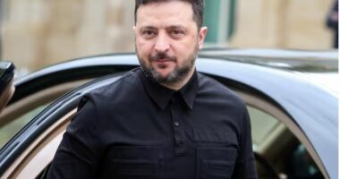 Zelensky: Ukraina po përgatitet për bisedime të reja paqeje javën e ardhshme