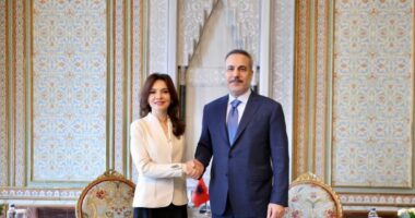 Spiropali nga Stambolli: Shqipëria gati për të marrë përgjegjësitë e saj si Anëtar Themelues i Bordit të Paqes