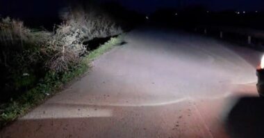 Aksident me vdekje në aksin Fier-Libofshë/ Motori del nga rruga, ndërron jetë 35-vjeçari