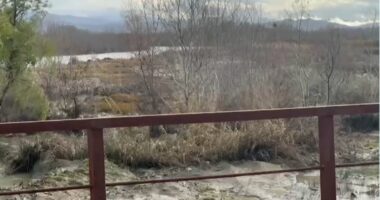 Vjosa kthehet në shtrat/ Uji ulet në nivel normal, tërhiqet uji nga Bishani