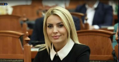Blerina Gjylameti, në krye të AKU/ Zëvendëson Manush Kullollin