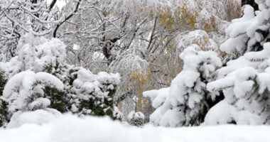 Në Peshkopi termometri regjistroi -11gradë celcius/ Sinoptikanët: Në mes të javës nis rritja e temperaturave
