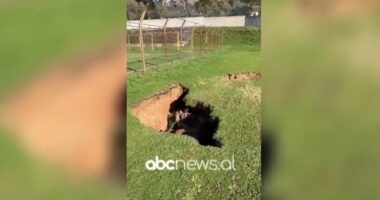 E pazakontë në Delvinë, shirat e rrëmbyer ‘hapin dheun’ në fushën e blertë