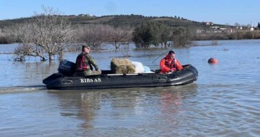 Mbyllet faza e parë e verifikimit të dëmeve nga përmbytjet në Ferras/ Fier, 4000 ha tokë nën ujë