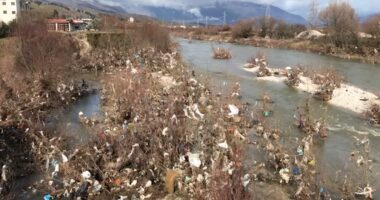 Ndotja e Drinos, alarmante/ Ambientalistët: Mbetjet në lumë po shkatërrojnë faunën