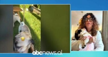 Dashuri pa kushte apo sakrificë pa kthim? Kur katërputroshët bëhen familje