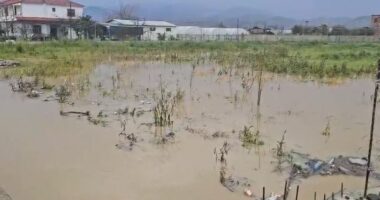 Elbasan/ Përmbyten disa hektarë tokë në Jagodinë, banorët: Shtëpitë në ujë, problem edhe bllokimi i kanaleve kulluese