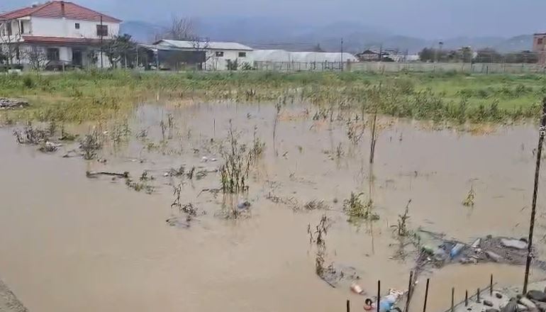 Elbasan  Përmbyten disa hektarë tokë në Jagodinë  banorët  Shtëpitë në ujë  problem edhe bllokimi i kanaleve kulluese