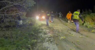 Era e fortë rrëzon pisha në Pyllin e Sodës, bllokohet përkohësisht rruga drejt Zvërnecit