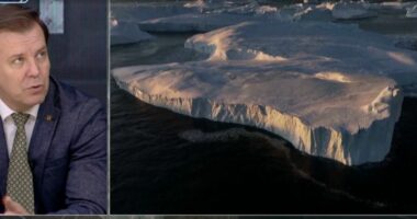 Përshkallëzimi i tensioneve dhe rëndësia territoriale/ Tafani: Groenlanda pa rëndësi strategjike, thjesht fiksim i Trump!