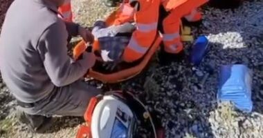 U godit nga mushka në kokë/ Vlorë, i mituri çohet me helikopter drejt Tiranës