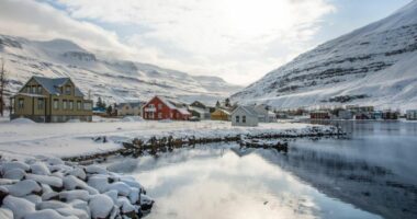 Islanda kaloi Krishtlindjen më të nxehtë në histori, shfaqen mushkonjat për herë të parë