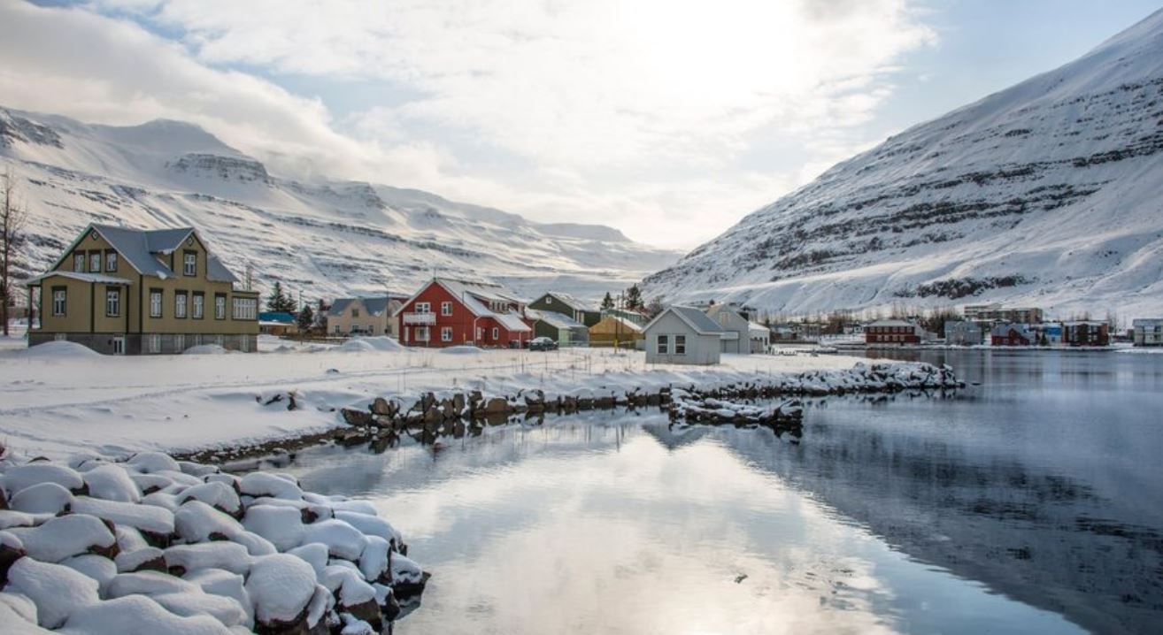 Islanda kaloi Krishtlindjen më të nxehtë në histori  shfaqen mushkonjat për herë të parë