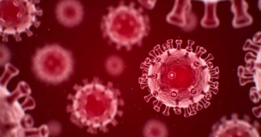 Ulet mosha e depistimit/ Kanceri i qafës së mitrës, programi përfshin gratë 35-55 vjeç