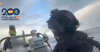 VIDEO/ Sekuestrohen 10 ton kokainë, sasia rekord kishte destinacion Europën, ishte fshehur mes kripës