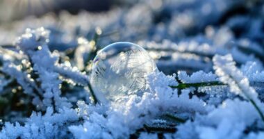 Ngrin Kosova, dita e parë e vitit shënon temperatura deri në -15 gradë