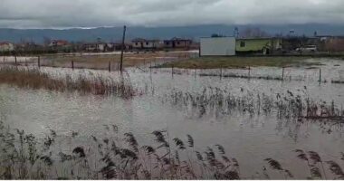 Drejt përmirësimit situata në Adriatik të Kurbinit/ Kryeplaku: Grup pune për vlerësimin e dëmeve