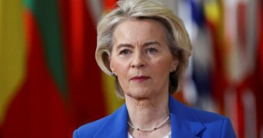 Mbi 2 mijë viktima në protesta/ Von der Leyen: BE do të vendosë më shumë sanksione ndaj Iranit