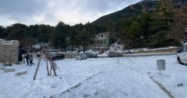 VIDEO/ ‘Zbardhet’ Llogaraja, reshjet e borës përfshijnë zonën, autoritet apel për përdorimin e gomave të dimrit