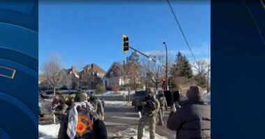 Vrasje e paramenduar?/ Mineapolis, 37 vjeçari ishte përplasur me agjentët e ICE 11 ditë më parë