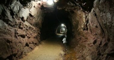 Gjendet pa shenja jete një 58-vjeçar në Bulqizë, dyshimet e para