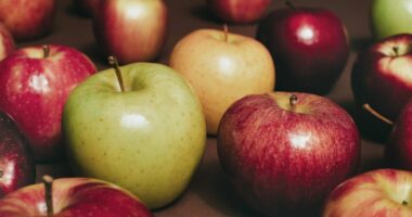 Mollët europiane të kontaminuara me pesticide